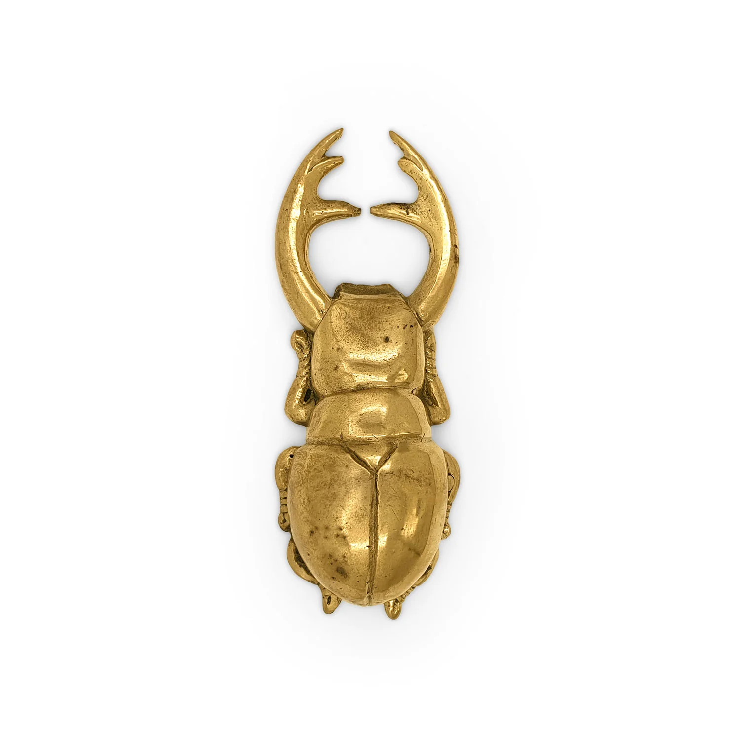 Atlas Beetle Brass Bottle Opener