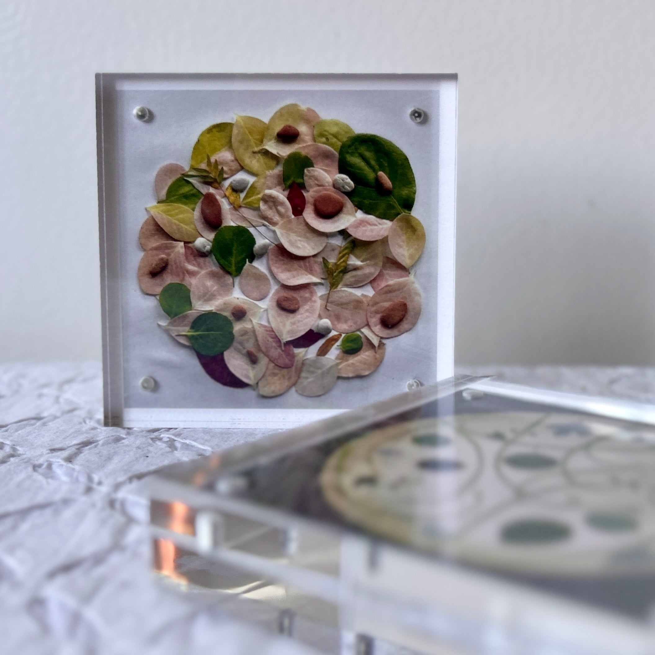 Dog Walk Diary by Margot Guralnick Mini-Print in Acrylic Block Frame