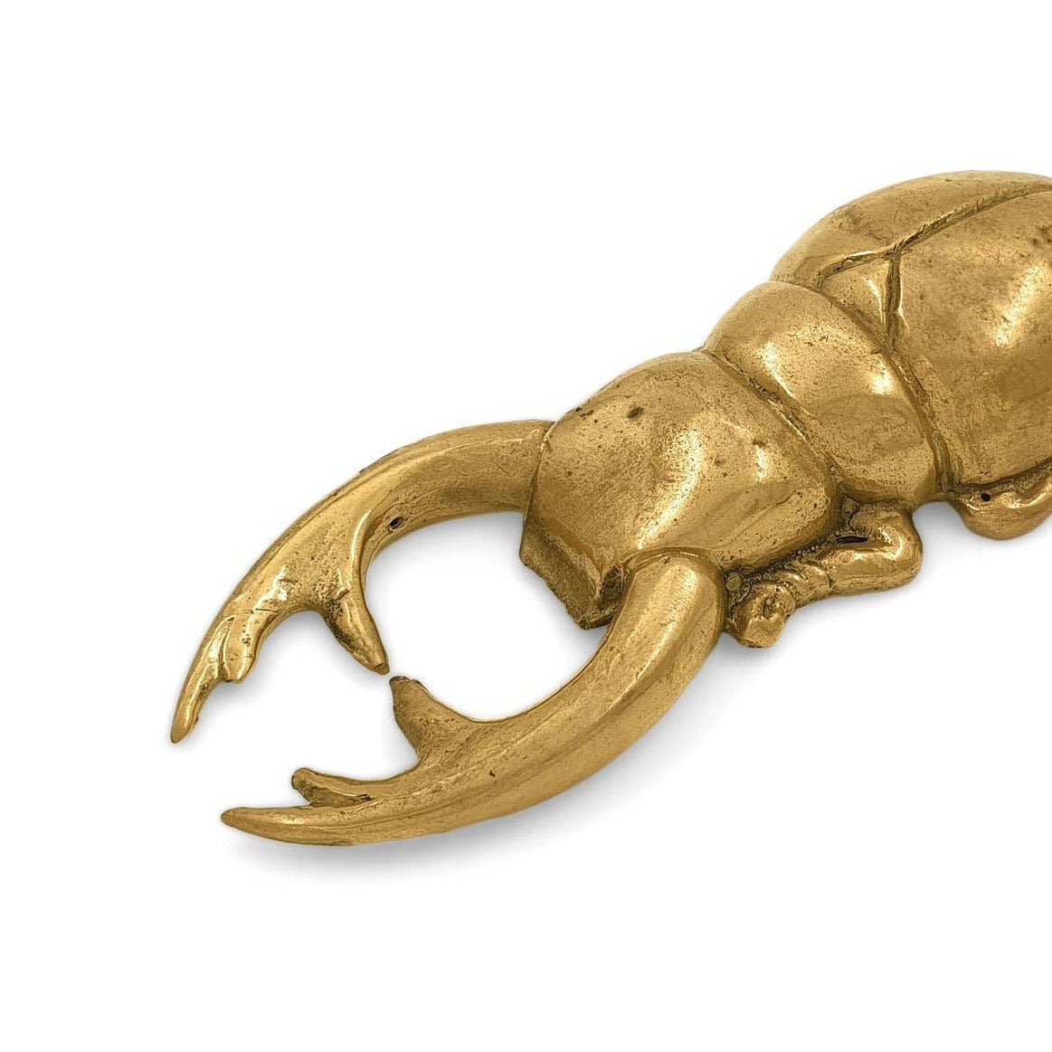 Atlas Beetle Brass Bottle Opener