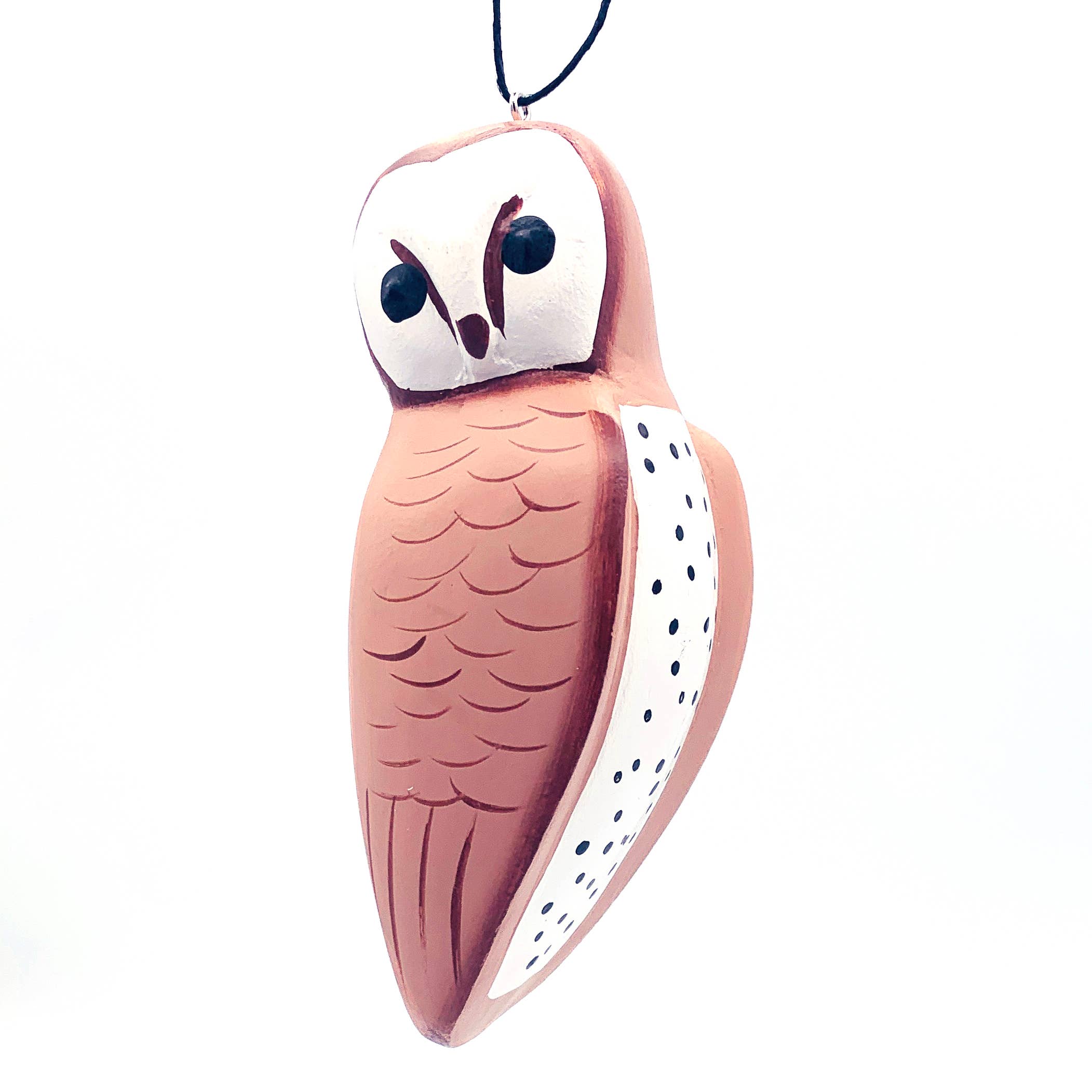 Barn Owl