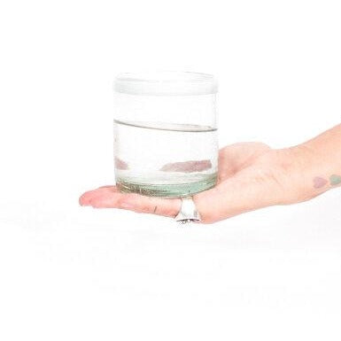 Blown Glass White Rim Short Tumbler Set