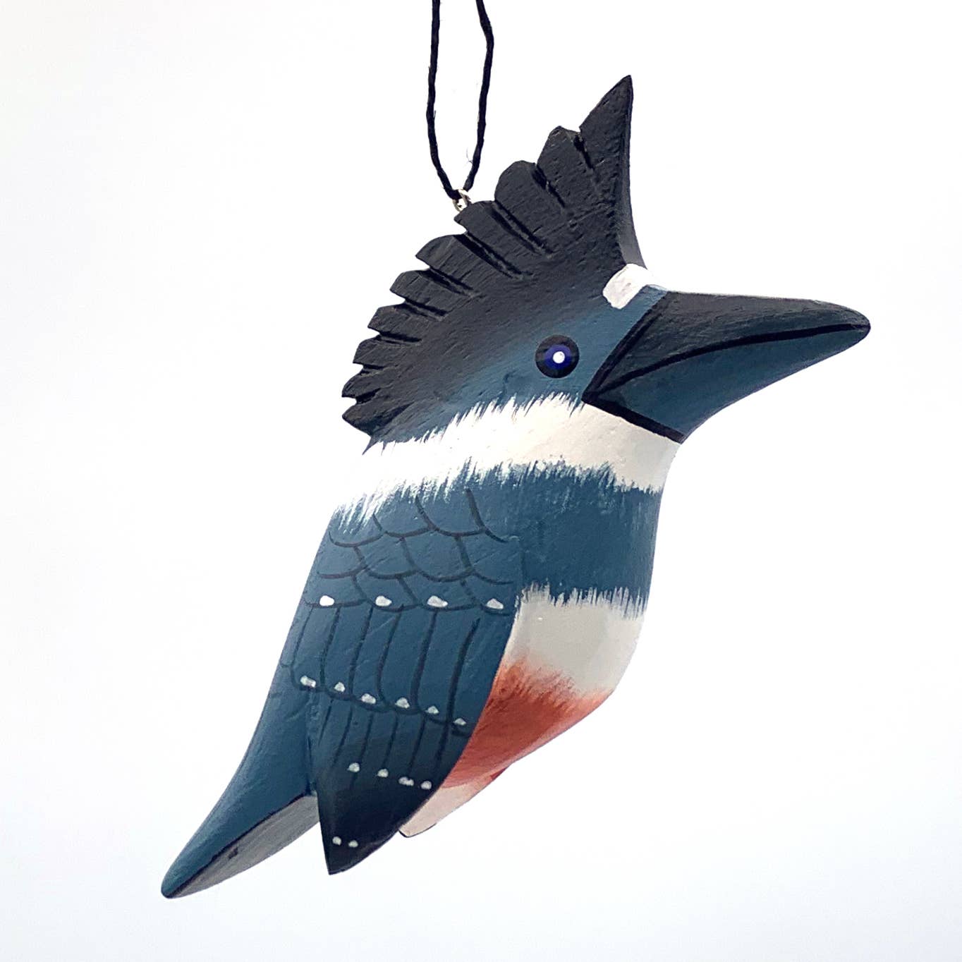 Belted Kingfisher